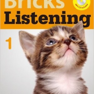 Bricks Listening
